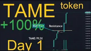TAME Token up over 100% Day 1 Going Parabolic with Low Liquidity on 