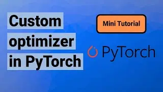 Custom optimizer in PyTorch