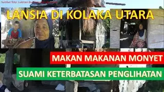 KISAH NYATA, Sepasang lansia di Kolaka Utara tinggal di sebuah gubuk dan hanya sekali dapat bantuan