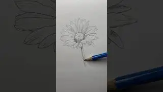 Draw a flower 🌸 Easy drawing lesson for beginners on how to draw a flower. #drawinglesson#howtodraw