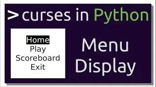 Creating Menu Display for Terminal | Intro to curses in Python (Part-2)