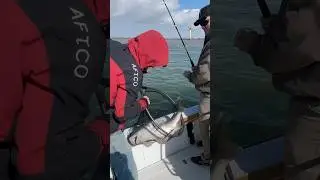 Black Drum Fishing | Texas Gulf Coast