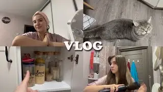 VLOG/КРАШУСЬ И БОЛТАЮ/ПОКУПКИ ДОМОЙ/ЭПИЛЕПСИЯ У КОТА