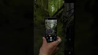 Exploring the dark forest with #Xperia1VI #Shorts