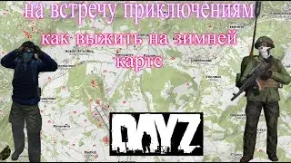 ЗИМНЯЯ Чернорусь КАК ВЫЖИТЬ  DayZ