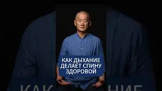 Как дыхание делает спину здоровой