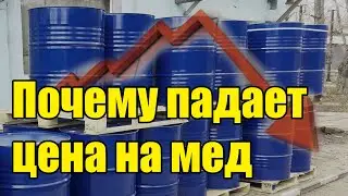 Почему падает цена на мед, рынок меняется на текущий момент