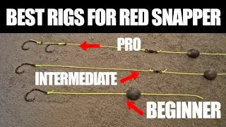 Best Red Snapper Rigs for any experience level!