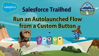 Salesforce Trailhead - Run an Autolaunched Flow from a Custom Button #salesforce  #trailhead