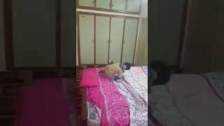 Qalabazi