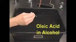 Oleic Acid Lab