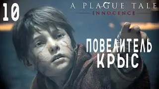 A Plague Tale: Innocence ▶ Прохождение на русском #10