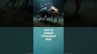 Топ 10 самых странных рыб #шортс #топ10 #рыбы #ютубшортс #shorts #ytshorts #малышам #комарик