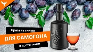 Брага из сливы с косточками для самогона