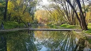 ОБНОВЛЁННЫЙ САРЖИН ЯР / ХАРЬКОВ 2019