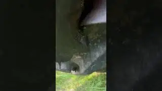 #покостравы
