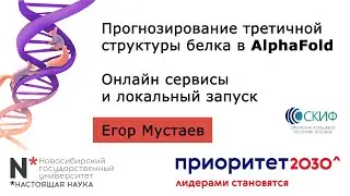 Прогнозирование третичной структуры белка в AlphaFold // Егор Мустаев