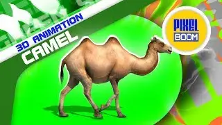 Green Screen Camel Walks Runs Dies - PixelBoom 3D Animations