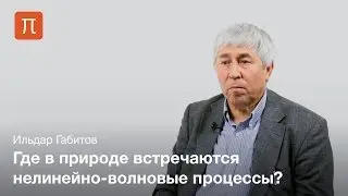 Нелинейно-волновые оптические процессы - Ильдар Габитов
