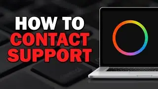 How To Contact Payoneer Support (Quick Tutorial)