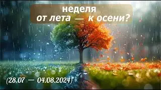 Как правильно перейти от лета к осени: прогноз на первую неделю августа 2024: Ба Цзы Ци Мень Феншуй