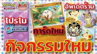 【Pokemon TCG】ข้อมูลลีค อีเว้นใหม่ แจกโปรโม การ์ดใหม่ อัพเดตร้านแมว #pokemon  #pokemontcgpocket